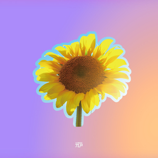 TLP反光车贴 心情切片系列向日葵花朵植物阳光夏日天空电动车贴纸