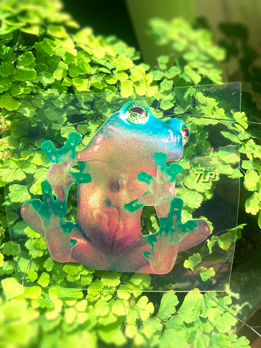 青蛙玻璃蛙贴纸可爱动物宠物