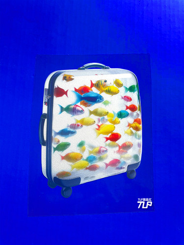 带鱼去旅行立体感旅行箱防水贴纸