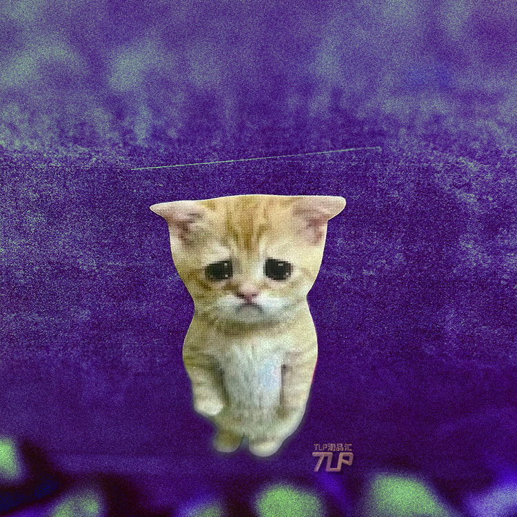 TLP反光车贴 委屈的猫猫 像素meme迷因表情 多用防水装饰平