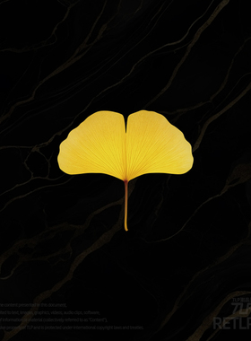 RETLPER镂空车贴 原创 银杏叶子 美丽植物 汽摩防水装饰平面贴纸