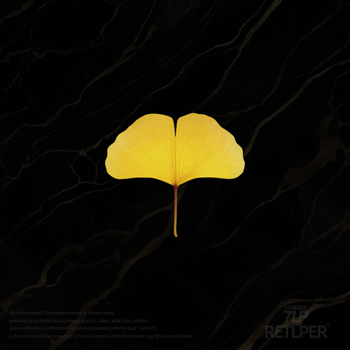 RETLPER镂空车贴 原创 银杏叶子 美丽植物 汽摩防水装饰平面贴纸