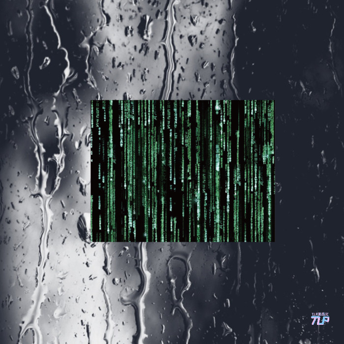 tlp黑客帝国代码影视反光车贴