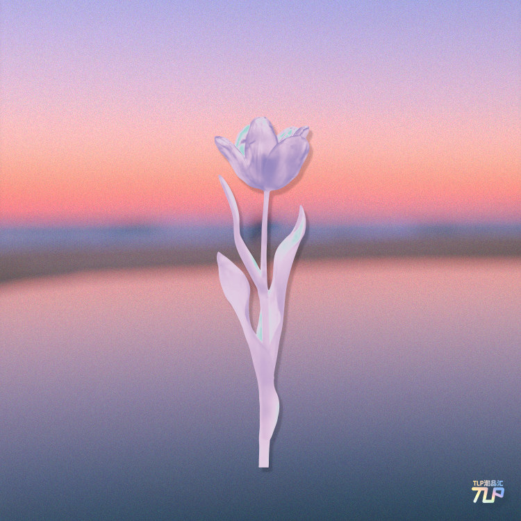 TLP反光贴纸 心情切片 郁金香植物花朵立体感彩色 平板平面防水贴,3C数码配件,笔记本炫彩贴,淘宝优惠券,粉丝福利购,淘宝优惠卷