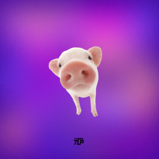 TLP反光贴 可爱的大鼻子宠物小猪 呆萌 平面平板笔记本装饰贴纸