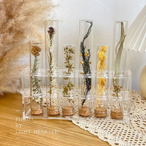 直口试管玻璃瓶干花植物标本diy