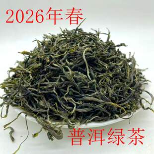云南普洱散茶春茶2026年早春绿茶经济实惠口粮绿茶250克包邮尝鲜