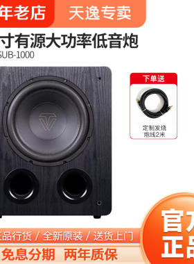 天逸风暴SUB1000家用大功率家庭影院发烧高保真有源低音炮重低音