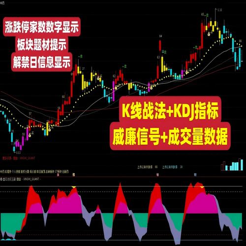 鑫石波段王量化策略指标条件选股