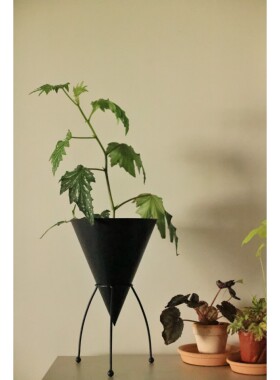 嘻物所外星飞船花盆金属花架黑色室内桌面摆放设计绿植植物可移动