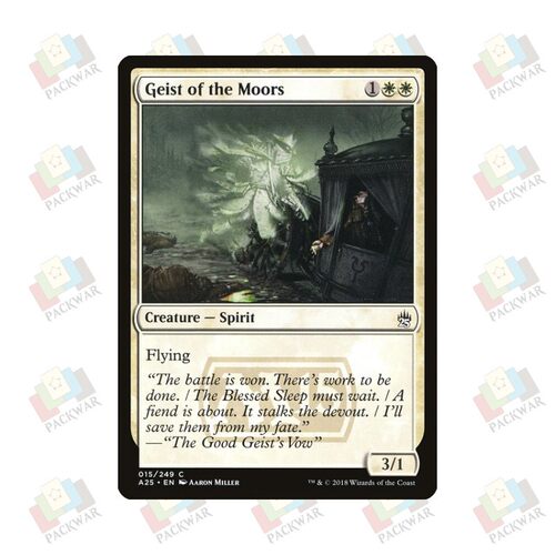 牌客窝 万智牌 湿地游魂 Geist of the Moors 铁 白 闪