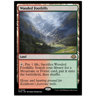 牌客窝 万智牌  繁茂丘陵 Wooded Foothills  金 地 闪