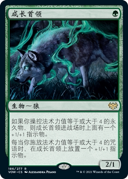 牌客窝 万智牌 成长首领 Ascendant Packleader 金 绿色