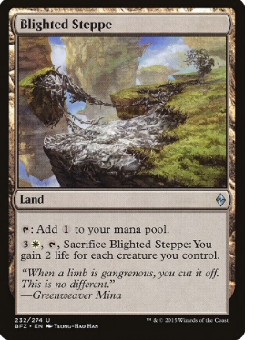 牌客窝 万智牌  枯萎草原 Blighted Steppe 银 地 简中 BFZ