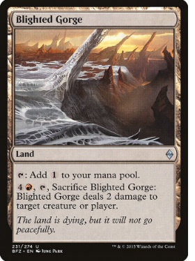 牌客窝 万智牌  枯萎峡谷 Blighted Gorge 银 地 简中 BFZ