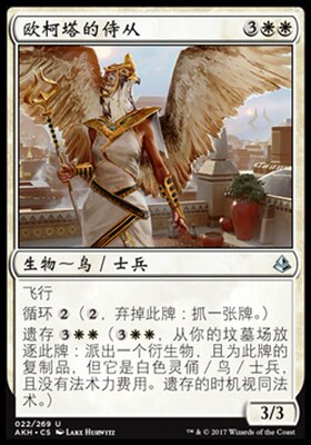 君君的牌客窝 万智牌 阿芒凯 AKH 欧柯塔的侍从 简中/英 银 白色
