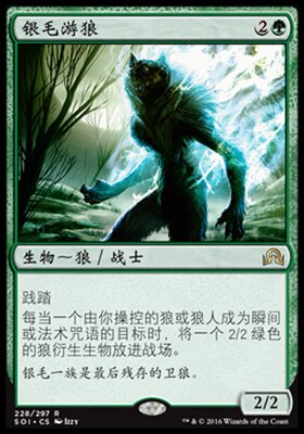牌客窝 万智牌 银毛游狼 Silverfur Partisan 金 绿色