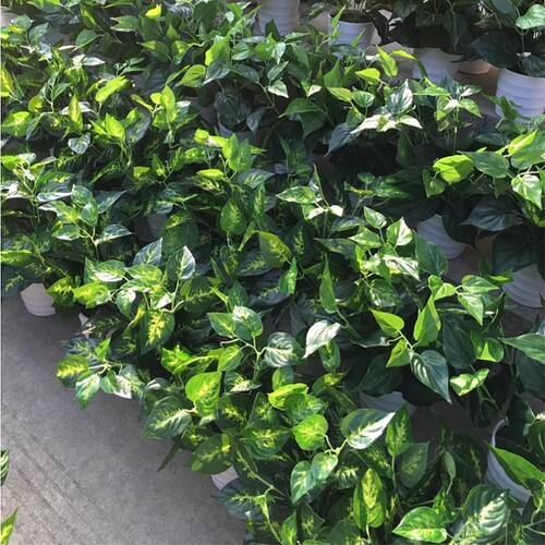 仿真绿植塑料植物绿萝盆栽摆件