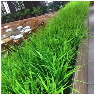 仿真绿植塑料假花卉小春草麦冬隔断栅栏插花花艺景观创意装饰植物