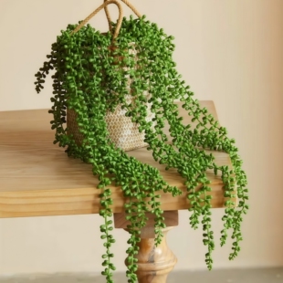 仿真绿植人造多肉5叉情人泪塑料植物悬挂假珍珠客厅花园装饰垂吊