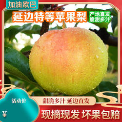 延边苹果梨延边特产龙井苹果梨三合当季孕妇水果做冻梨 顺丰包邮