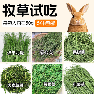 兔子试吃牧草提摩西草南提北提干草 龙猫果树草燕麦草黑麦草50g