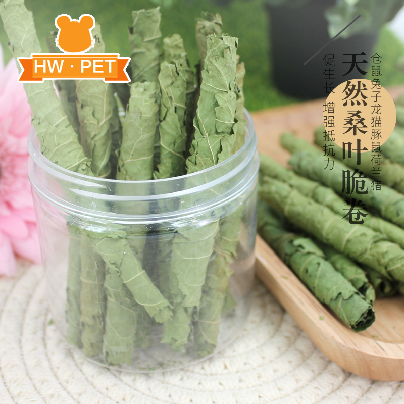 手摘新鲜烘干桑叶卷兔子豚鼠龙猫仓鼠零食补充蛋白质营养优于苜蓿