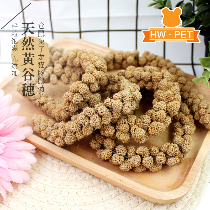 谷穗夫妻小宠粗纤维磨牙造景