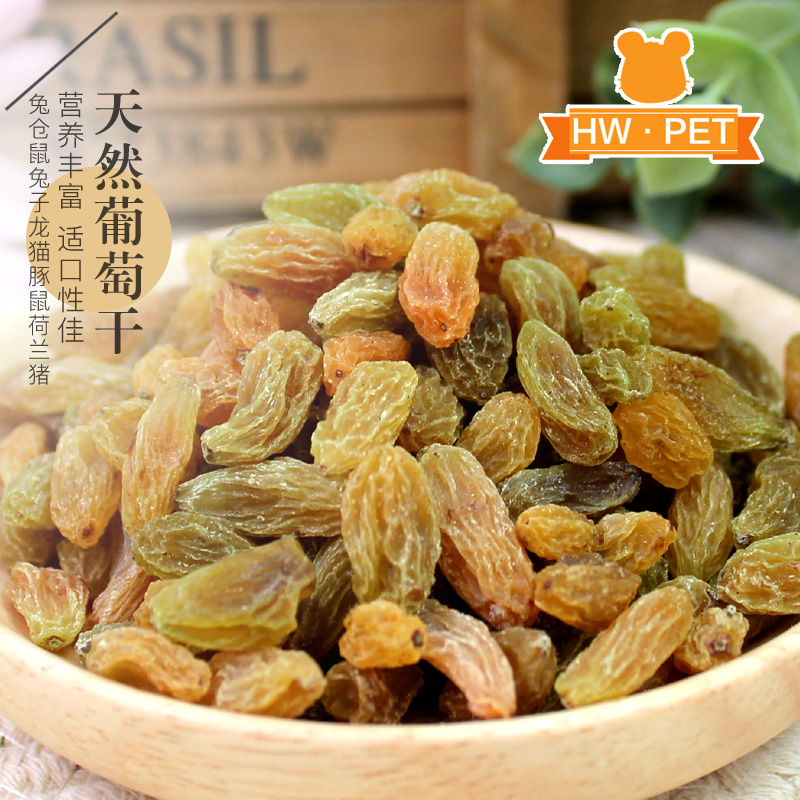 热销 宠物零食 仓鼠兔子龙猫天竺鼠提子干葡萄干 100g