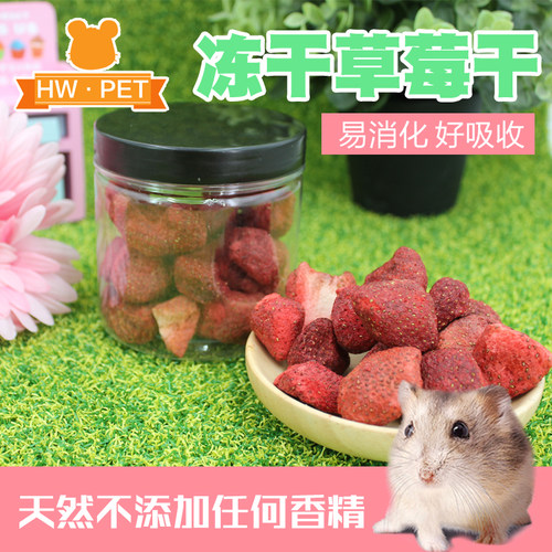 新品 香甜脆脆草莓干水果干冻干兔兔龙猫豚鼠仓鼠零食用品罐装50g - 封面