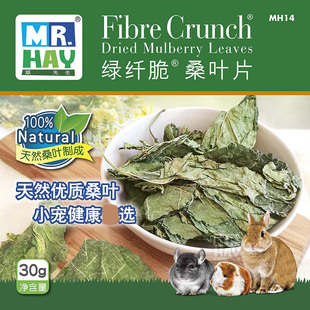 MR.HAY草先生绿纤脆桑叶片桑叶小宠龙猫兔子荷兰猪干草 30g