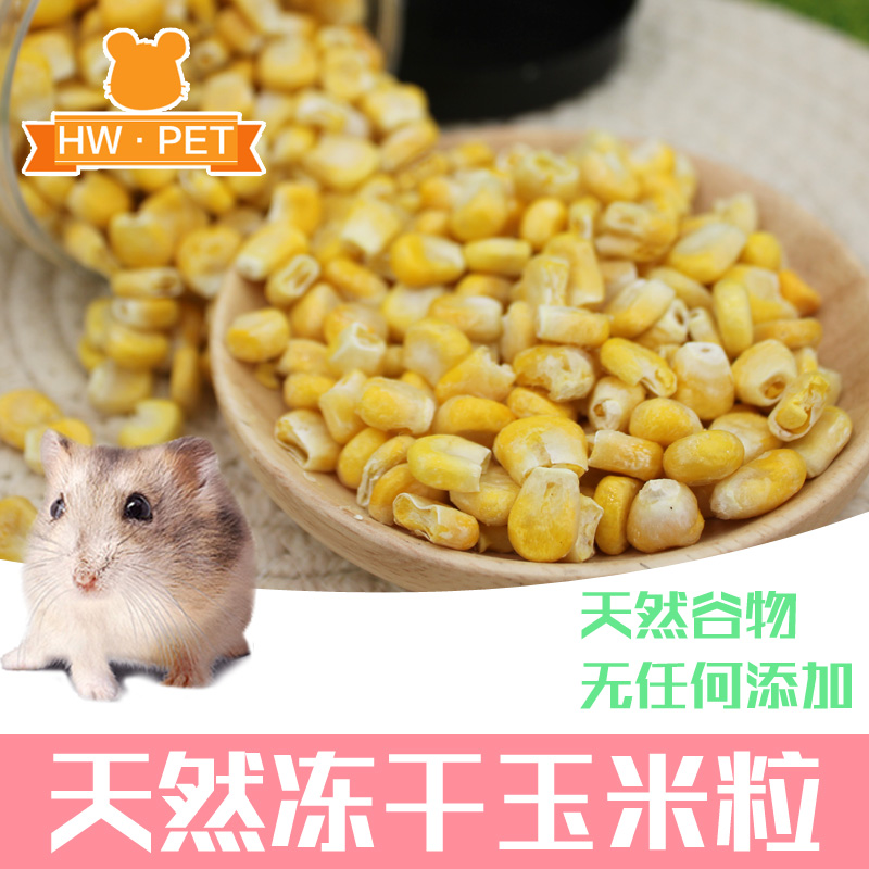 新品 香甜脆脆甜玉米粒冻干兔兔龙猫豚鼠仓鼠零食用品罐装50g