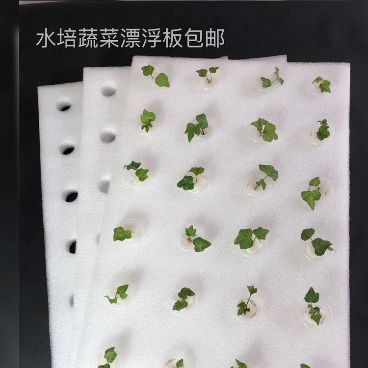 温室鱼塘无土栽培设备水培蔬菜带孔水耕漂浮定植板水上种菜发泡板