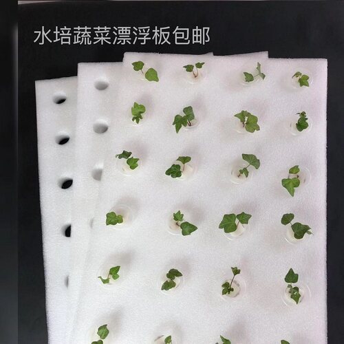 温室鱼塘无土栽培设备水培蔬菜带孔水耕漂浮定植板水上种菜发泡板