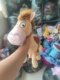 玩具总动员Toy Story胡迪Woody伙伴红心马Red hearts公仔毛绒玩具