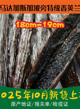 马达加斯加波旁香草荚18-19cm进口豆荚夹条籽棒精烘培咖啡冰淇淋