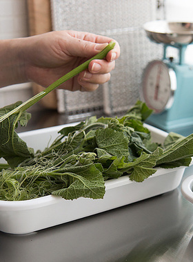 包邮日本进口塑料托盘可微波料理盘收纳盘厨房备菜盘火锅配菜盘