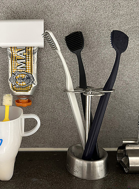 日本牙刷架dulton不锈钢牙膏架子洗面奶挤压器花瓣设计复古收纳架