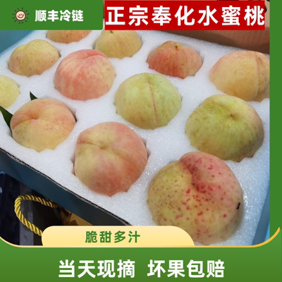 【顺丰冷链发货】奉化水蜜桃正宗果园现摘礼盒桃子宁波特产