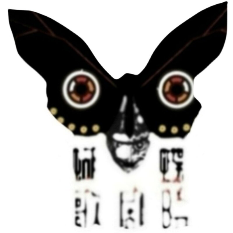 捕鸟蛛 Eurypelma Spinicrus未整姿原虫
