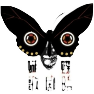 秀美凤蝶Papilio ascalaphus ascalaphus Sulawesi 未展翅标本原