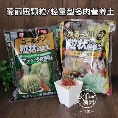 爱丽思日本仙人掌多肉植物培养土