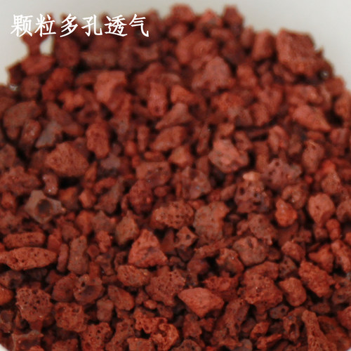 颗粒土基质散装多肉火山石
