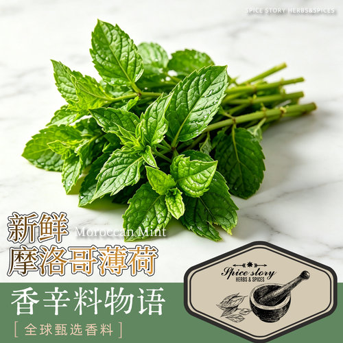 新鲜摩洛哥薄荷 茶薄荷 娜娜薄荷 Moroccan Mint