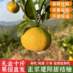 现摘新鲜水果正宗建阳桔柚 赛庆元甜桔柚 甜橘柚精品大果礼盒包邮