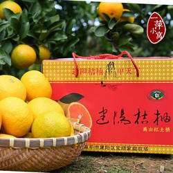 现摘新鲜水果正宗建阳桔柚 赛庆元甜桔柚 甜橘柚精品大果礼盒包邮