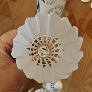 骄点R6羽毛球焦点R-6耐打飞行俱乐部训练室内室外训练羽毛球12只