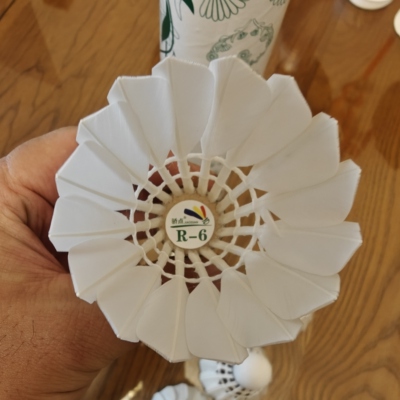 骄点R6羽毛球焦点R-6耐打飞行俱乐部训练室内室外训练羽毛球12只