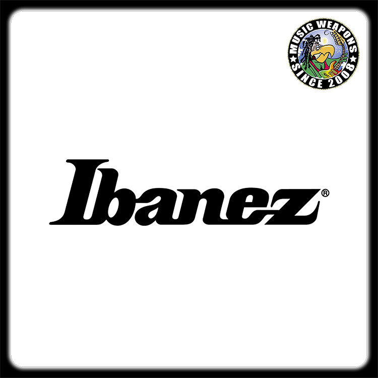 Ibanez 原厂琴桥 琴枕 档位器 摇杆 拾音器框 电位器 输出接口