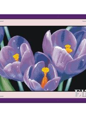 十字绣花卉HH110紫色郁金香 爱丽丝cross stitch清仓